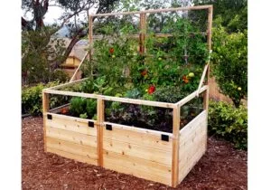 Gardening Raised Bed Trellis 6x3 2 web