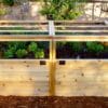 Gardening Raised Bed Trellis 6x3 6 web