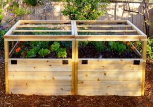 Gardening Raised Bed Trellis 6x3 6 web