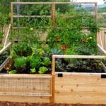 Gardening Raised Bed Trellis 6x3 7 web