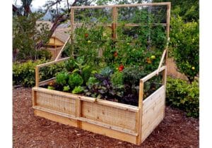 Gardening Raised Bed Trellis 6x3 9 web
