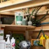 Organized shed with plants and supplies