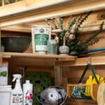 Organized shed with plants and supplies