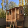 Wooden playhouse with ladder and porch