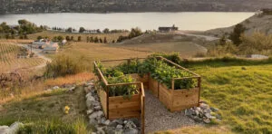 Cedar Raised Garden Bed on the hillside full of plants from outdoor living today