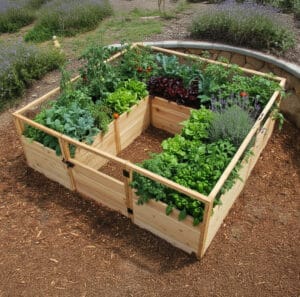 Raised Garden bed 8x8 western red cedar outdoor living today. 3jpg