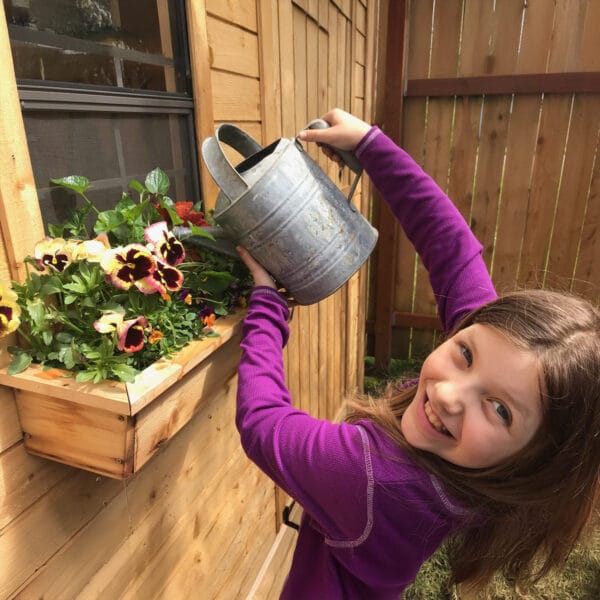 Sunshed 8x8 Garden shed Western Red Cedar cedar shed Outdoor Living Today 27