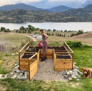 Western Red Cedar Raised Garden Bed Kit Outdoor Living Today 8x8 1