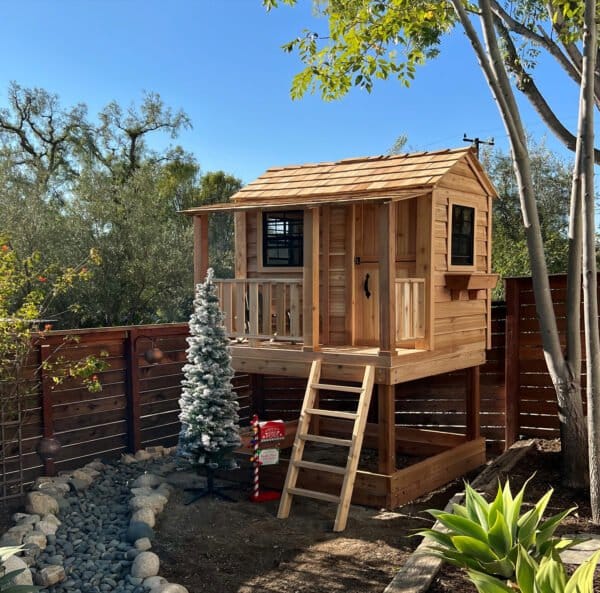little cedar 4