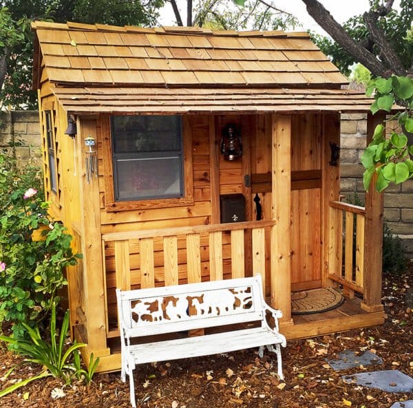 little cedar 6