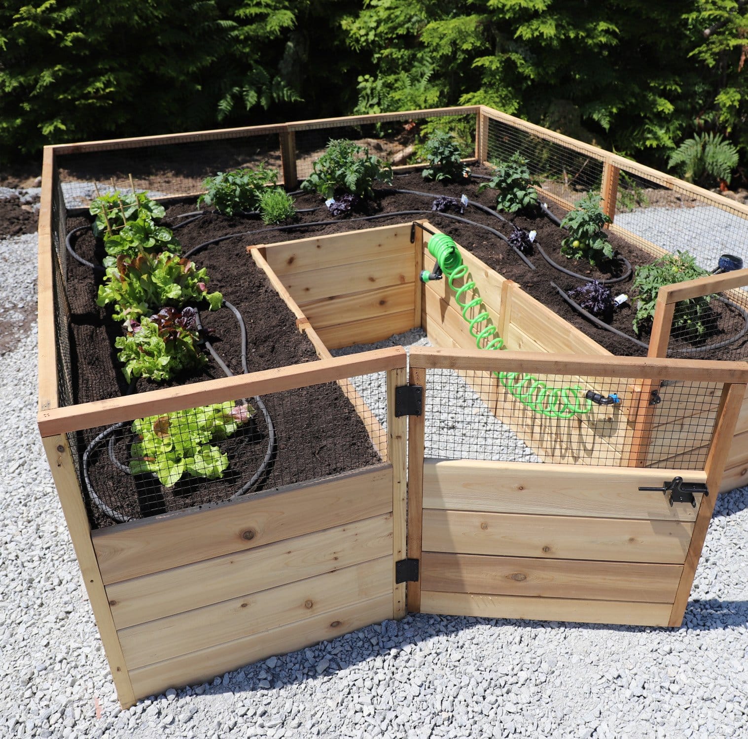 Cedar Complete Raised Garden Bed Kit - 8' x 8' x 20