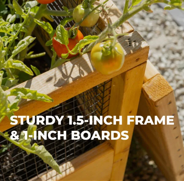 raised garden bed thickness