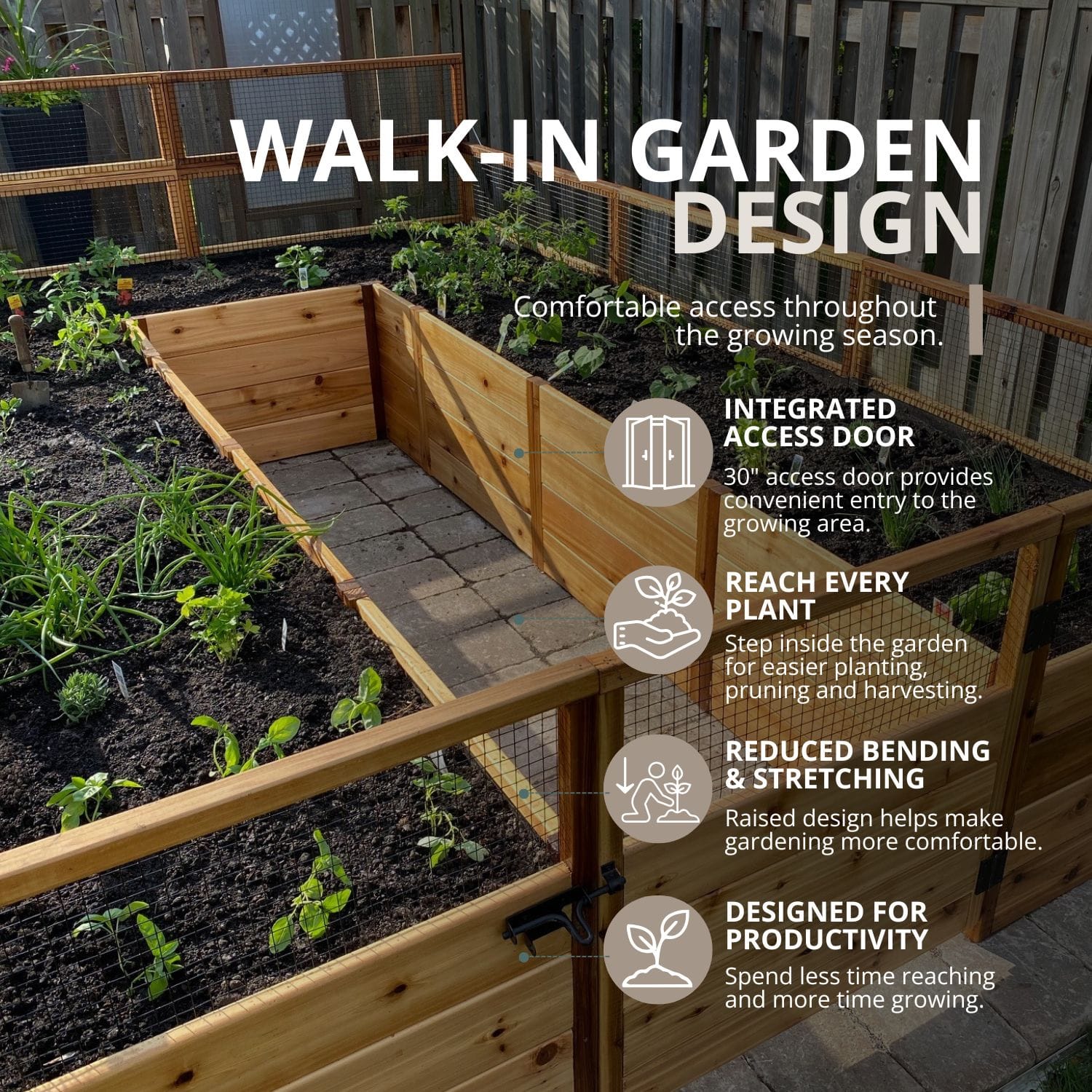 Raised Cedar Garden Bed | 8 ft × 12 ft 4 8x12 ft Raised Garden Bed Standard Kit Outdoor Living Today Western Red Cedar Raised Garden Bed Kit 30 7