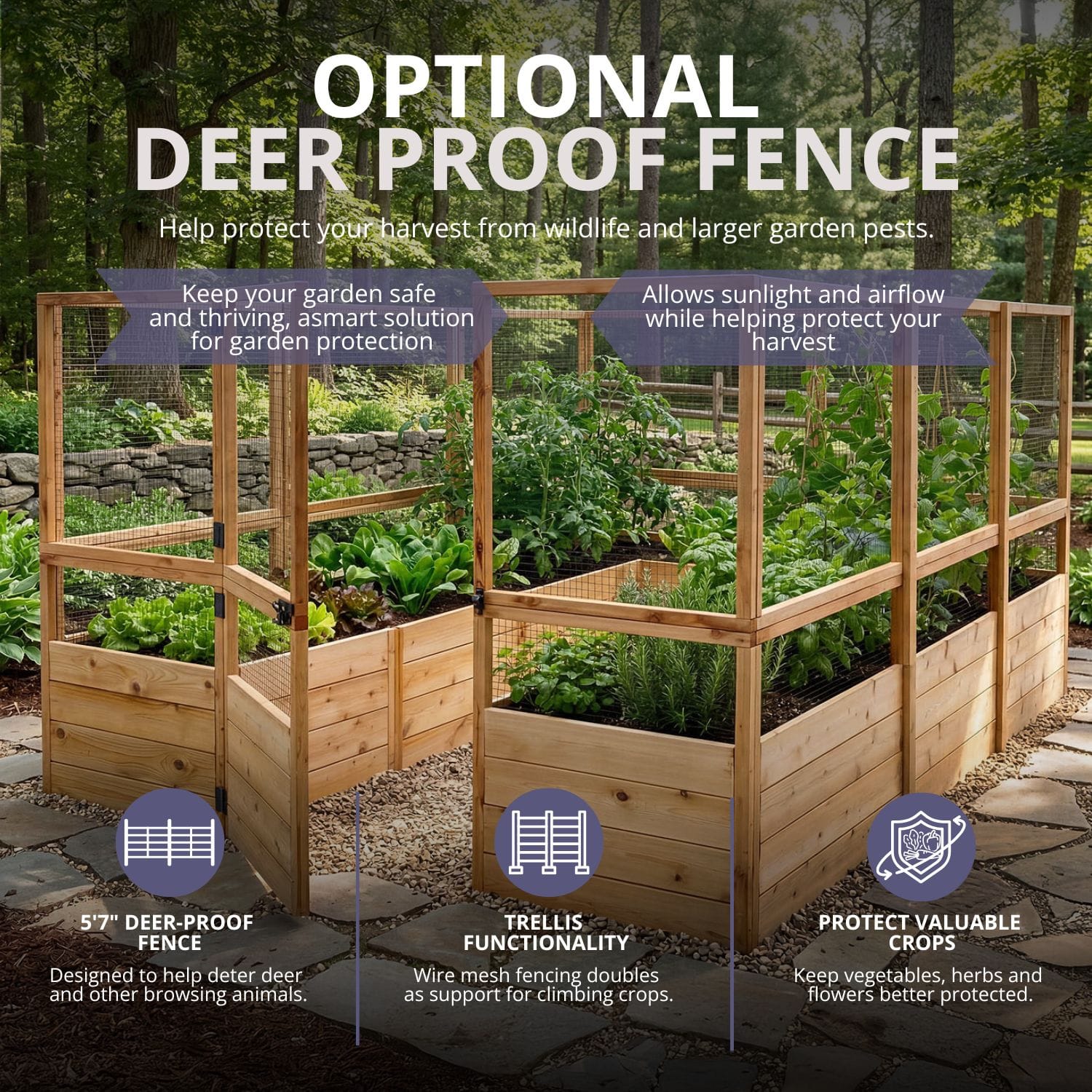 Raised Cedar Garden Bed | 8 ft × 12 ft 8 8x12 ft Raised Garden Bed Standard Kit Outdoor Living Today Western Red Cedar Raised Garden Bed Kit 30 8