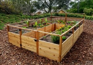 Gardening Raised Garden Bed 8x12 1 web