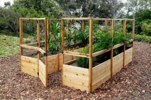 Gardening Raised Garden Bed Fence 8x12 5 2zoom
