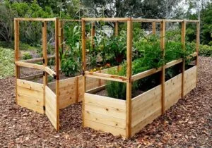 Gardening Raised Garden Bed Fence 8x12 5 web 1