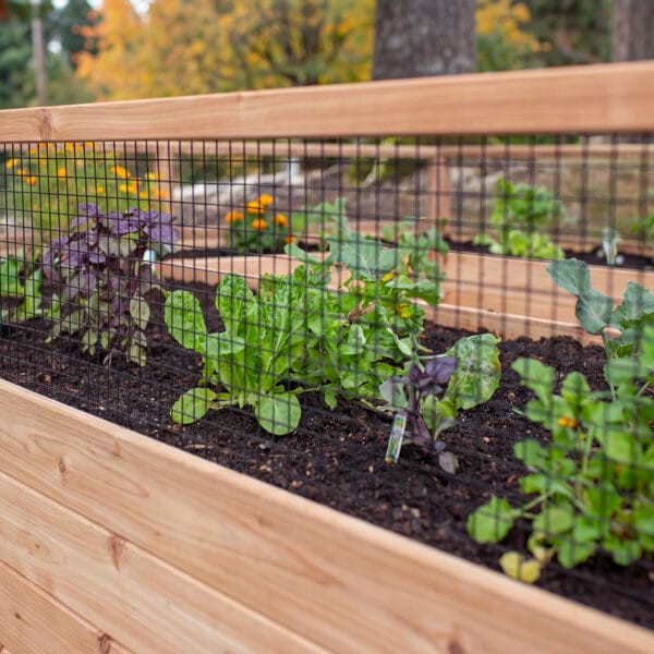 Raised Cedar Garden Bed | 8 ft × 12 ft 7 RB812ft Raised Garden Bed Standard Kit Outdoor Living Today Western Red Cedar Raised Garden Bed Kit 3