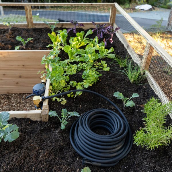 Auto watering system all in one kit outdoor living today kit 6 1