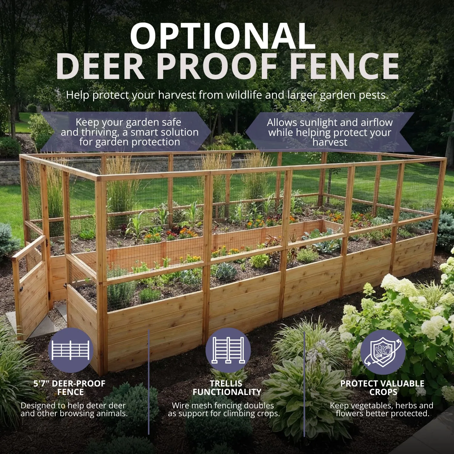 8x16 ft Raised Garden Bed Standard Kit Outdoor Living Today Western Red Cedar Raised Garden Bed Kit 30 9