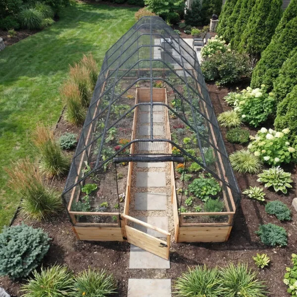 Raised Garden Bed 8x16 Western Red Cedar Gardening Bird Netting Kit 2 Outdoor Living Today Raised Garden Bed 1