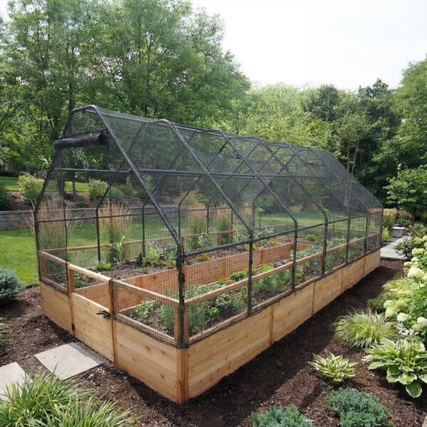 Raised Garden Bed 8x16 Western Red Cedar Gardening Bird Netting Kit Outdoor Living Today Raised Garden Bed 1