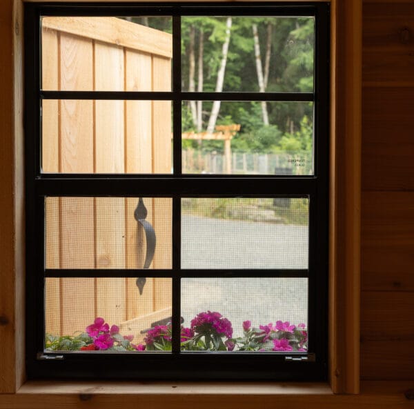 Window view with flowers and door