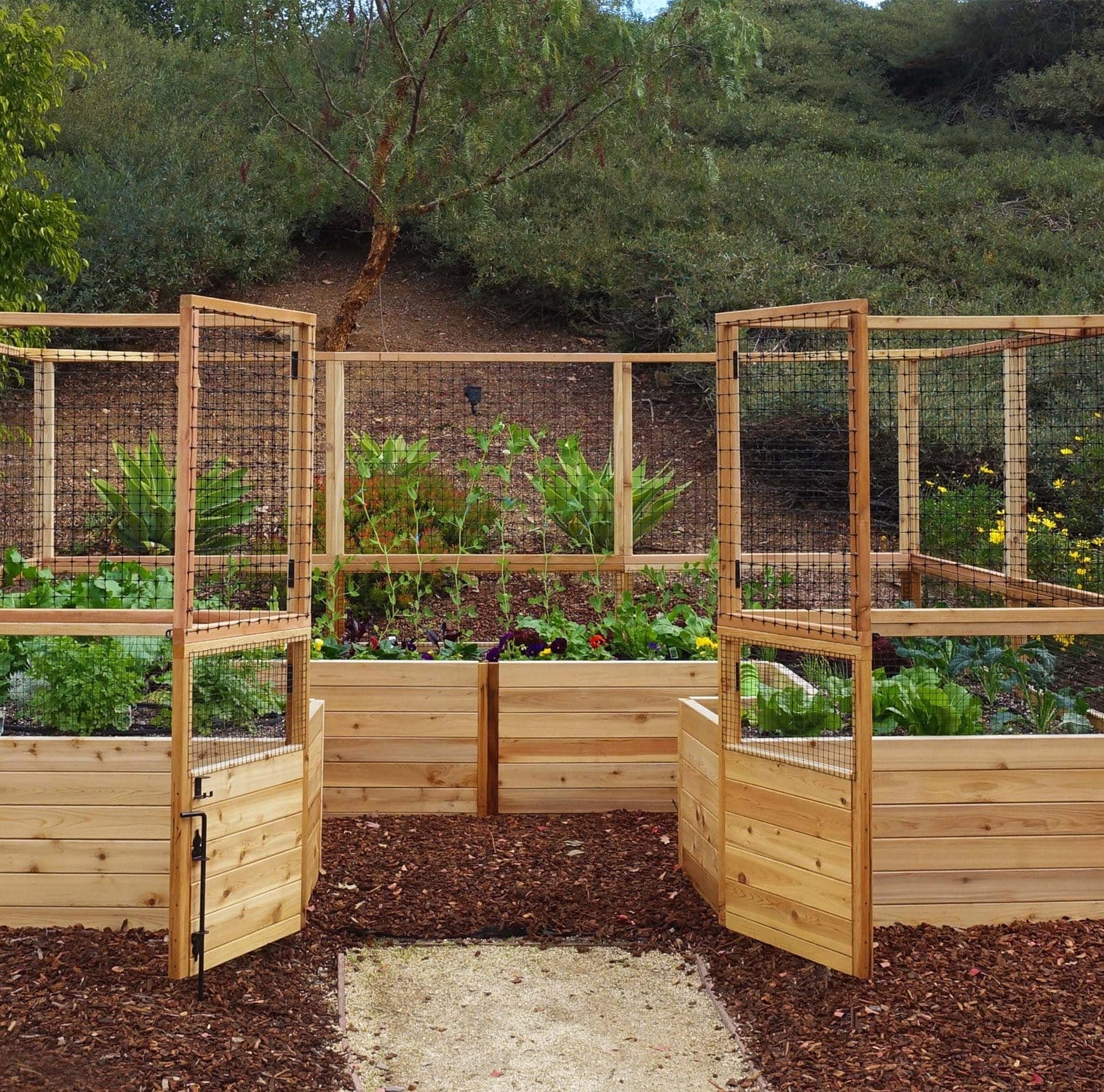 Raised garden bed store with deer fence
