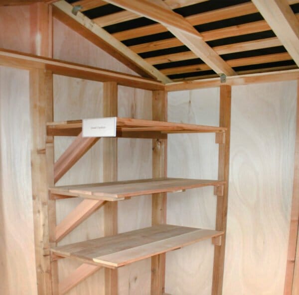 shelve options