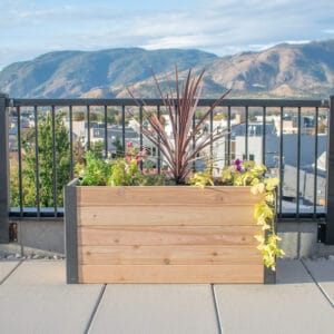 48" x 18" Urban Cedar Raised Garden Bed – Western Red Cedar