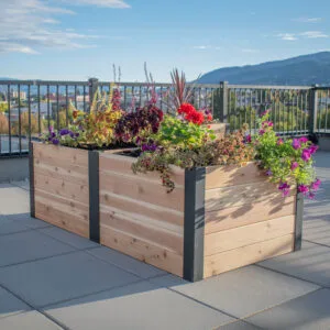 Urban Raised Garden Bed 6 x 3
