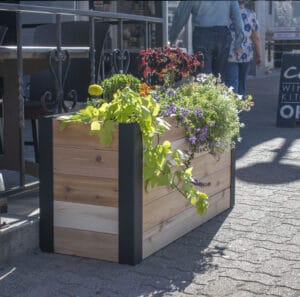 Urban Garden Bed 4x1.5 1