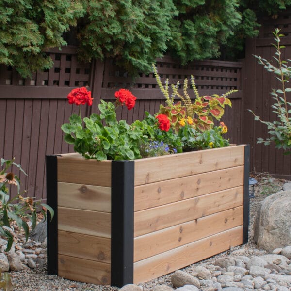 4x1.5 Urban Cedar Raised Garden Bed | Western Red Cedar 11 Urban Garden Bed 4x15 Western Red Cedar Raised Garden Bed Kit Outdoor Living Today 8