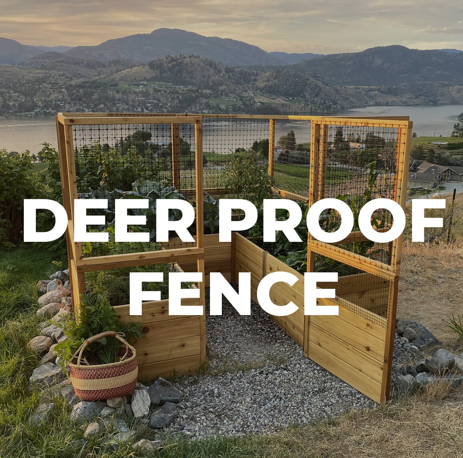 Hillside Garden Deer Fence Plant Talk Whidbey Island Deer Fence Hillside Garden Deer Fence Plant Talk Whidbey Island Deer Fence