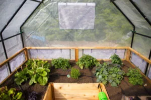 Raised Garden Bed Greenhouse cover 5 1024x683 1