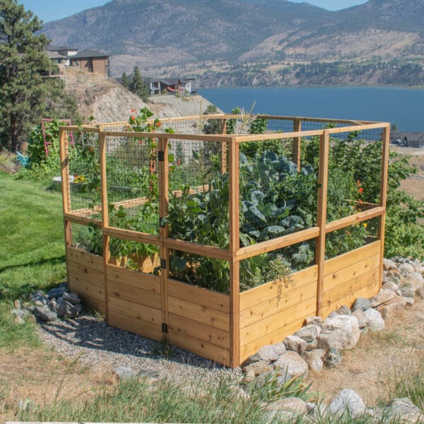 Deerfence Kit Raised Garden Bed 8x8 Western Red Cedar Outdoor Living Today Garden Kit. 10