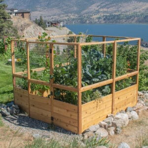 Raised Cedar Garden Bed | 8 ft × 8 ft