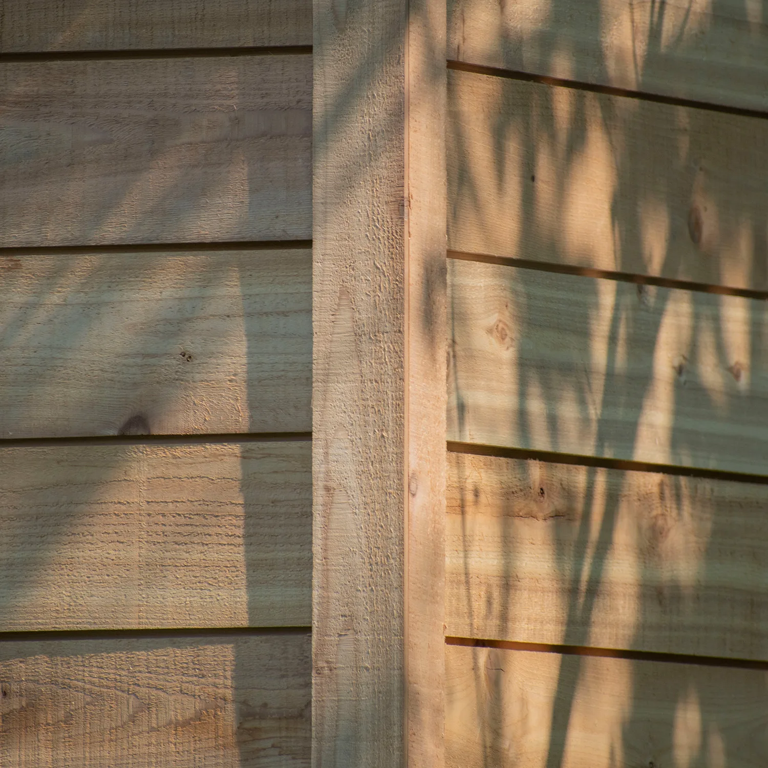 Wooden shed with shadow patterns.