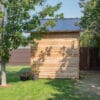 Wooden shed with metal roof, garden