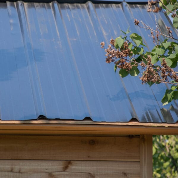 12×8 Saltbox Studio — Western Red Cedar Modern Outdoor Office 15 Metal roof with greenery nearby.