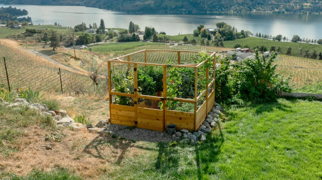Raised garden bed overlooking scenic landscape