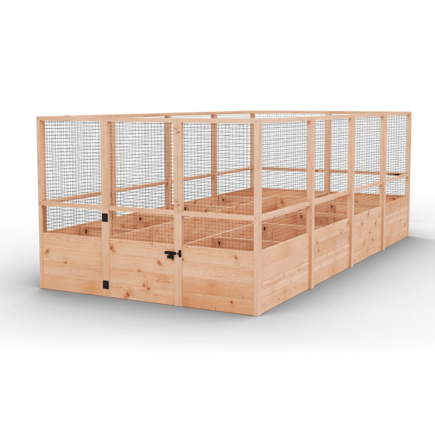 rb816dfo cedar olt render