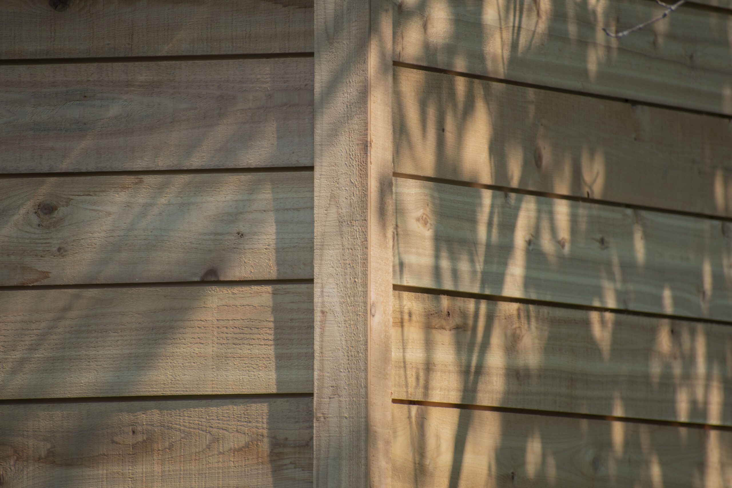SALTBOXSTU_293