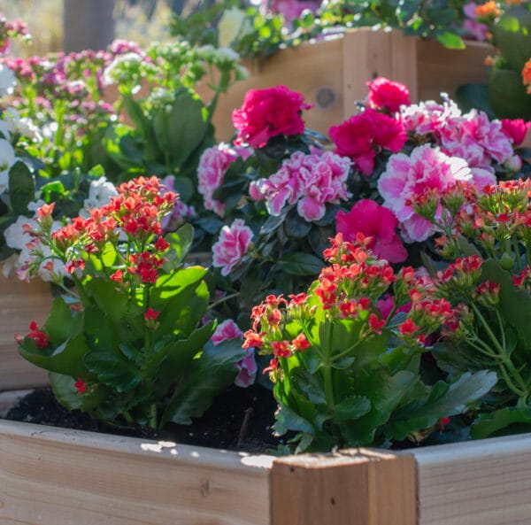 3.5×4 Corner Tiered Raised Garden Bed – DIY Kit 3 3.5×4 Tiered Raised Garden Bed – Western Red Cedar Corner Kit 13