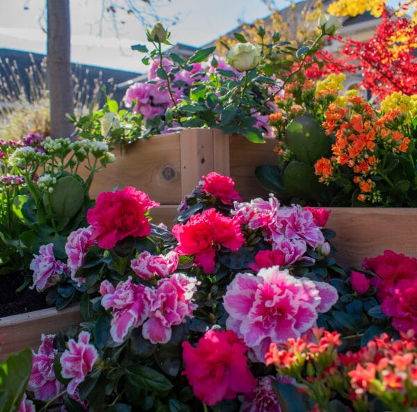 3.5×4 Corner Tiered Raised Garden Bed – DIY Kit 11 3.5×4 Tiered Raised Garden Bed – Western Red Cedar Corner Kit 6