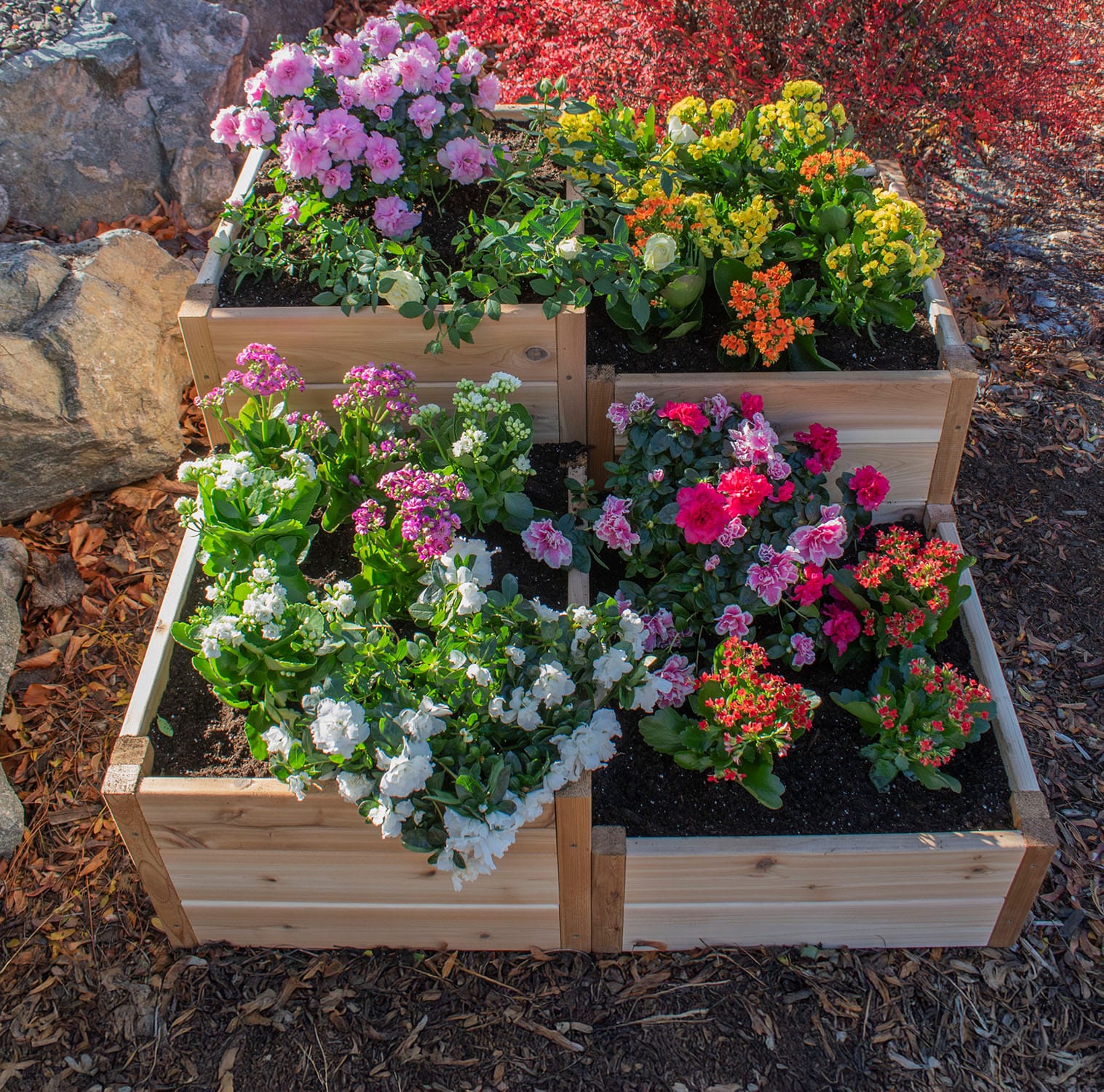 3.5×4 Tiered Raised Garden Bed – Western Red Cedar Corner Kit 7