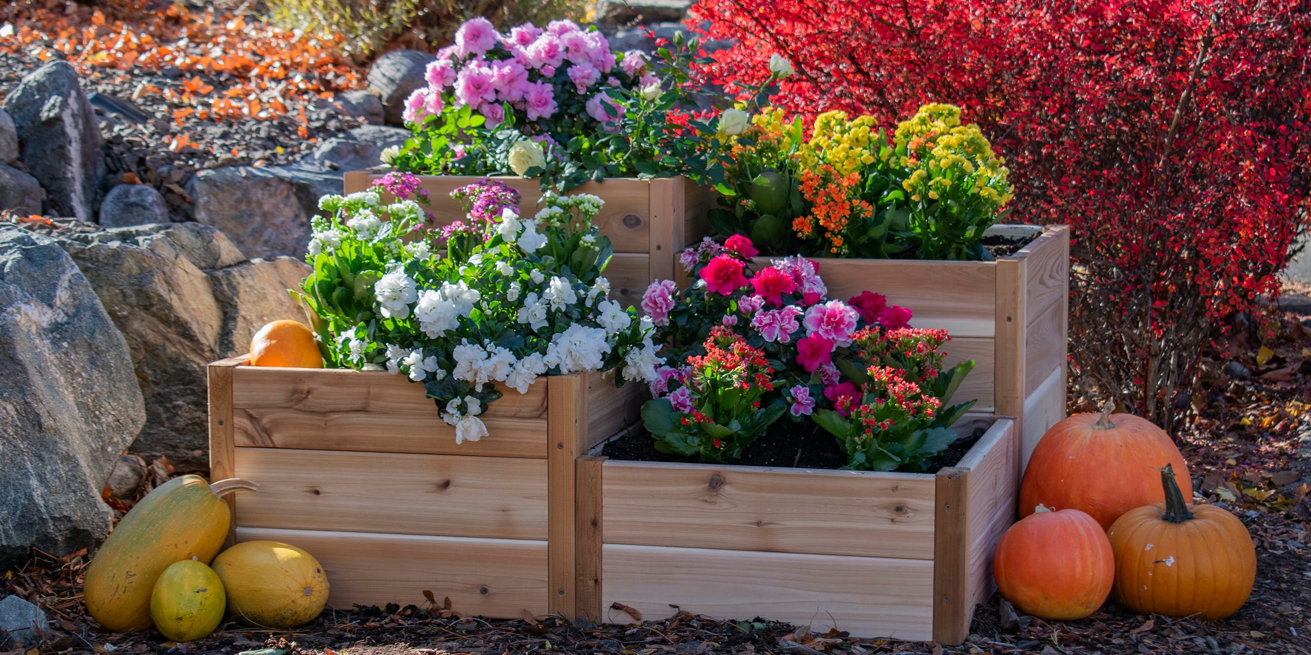3.5×4 Tiered Raised Garden Bed – Western Red Cedar Corner Kit banner 1