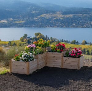 Cedar Tiered Garden Beds on a mountain side