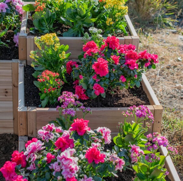 5.5×2 L-Shaped Tiered Raised Garden Bed – DIY Kit 6 5.5×2 Tiered L Shaped Garden Bed – Western Red Cedar Kit 6