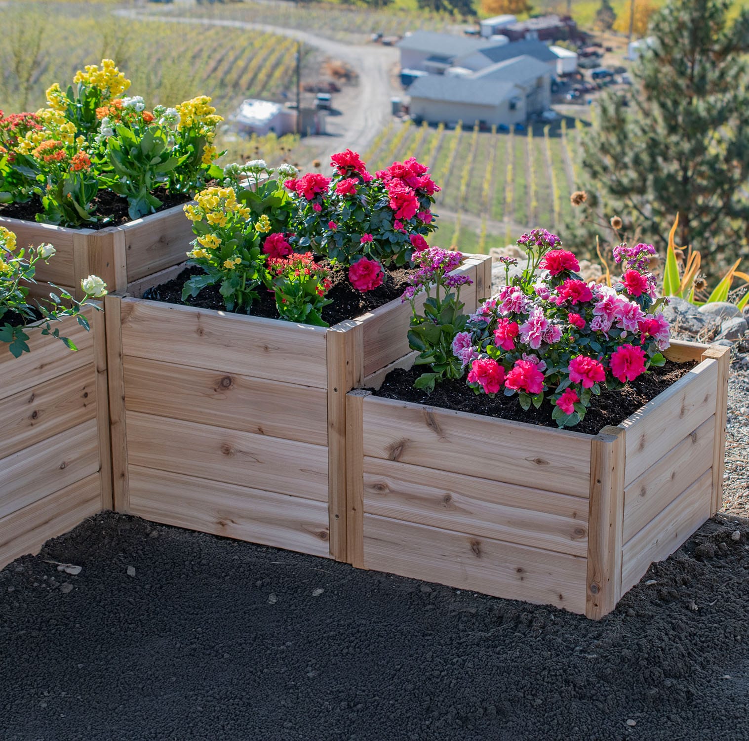 5.5×2 Tiered L-Shaped Garden Bed – Western Red Cedar Kit 7